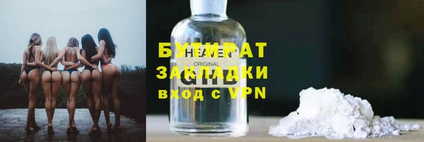 ГАЛЛЮЦИНОГЕННЫЕ ГРИБЫ Тайга