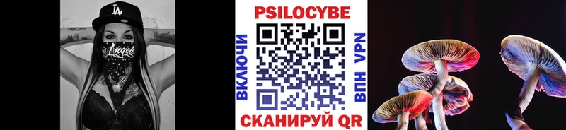 Галлюциногенные грибы Cubensis  купить закладку  Алдан 